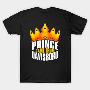 Davisboro Georgia T-Shirt